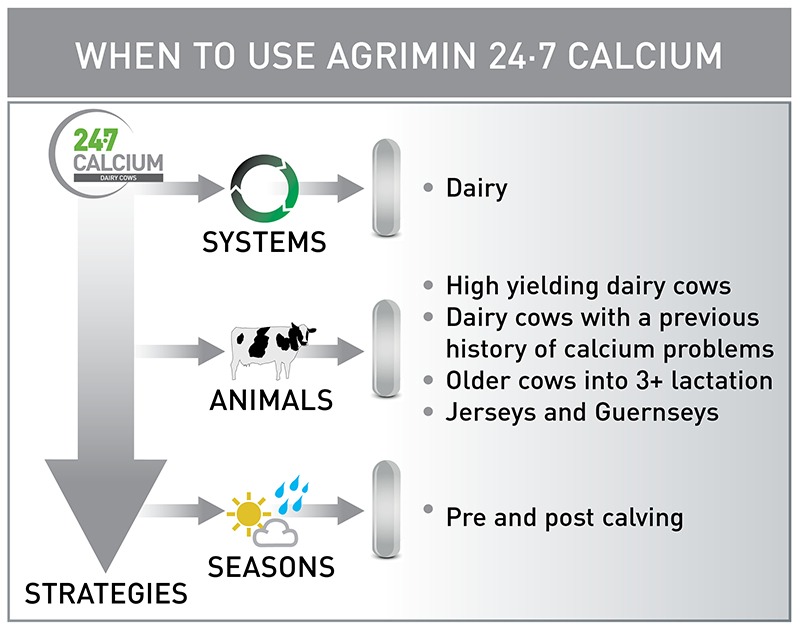 24.7 CALCIUM image B when to use diagram web FINAL Mar 19