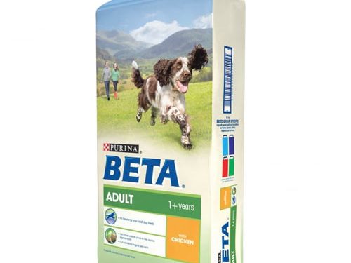 Beta Adult chicken|Animal Farmacy