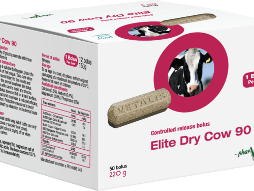 Pharvet Elite Dry Cow Bolus