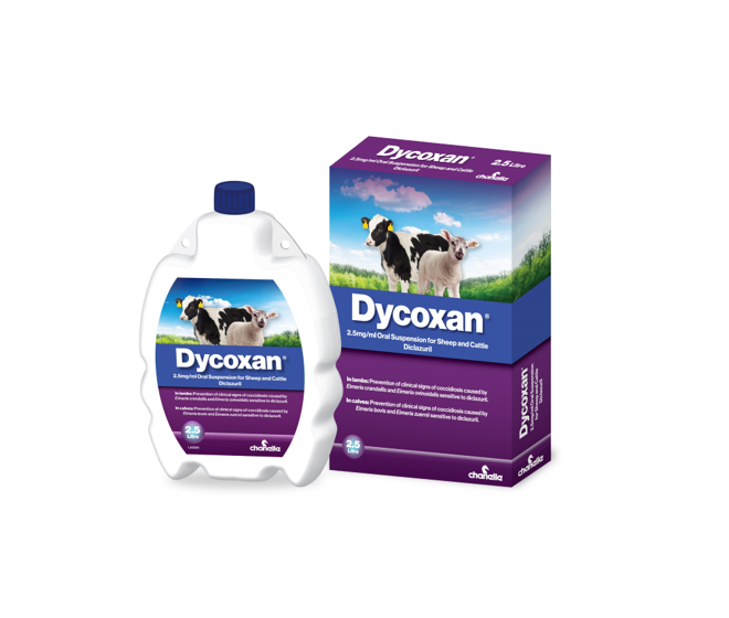 dycoxan oral suspension